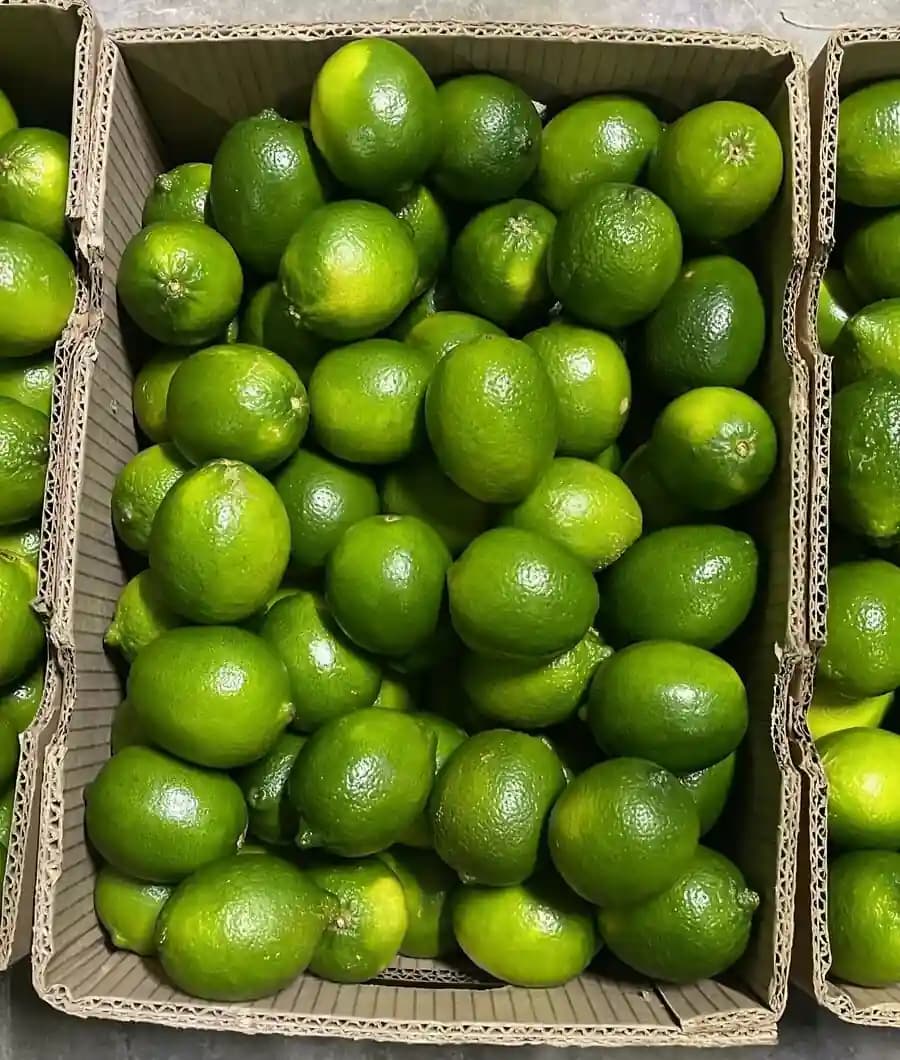 Tahiti Lime