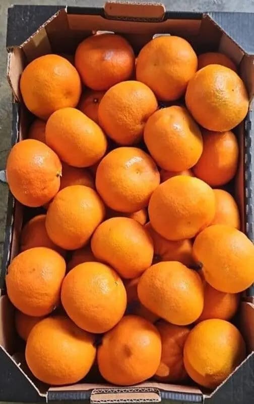 Tangerines