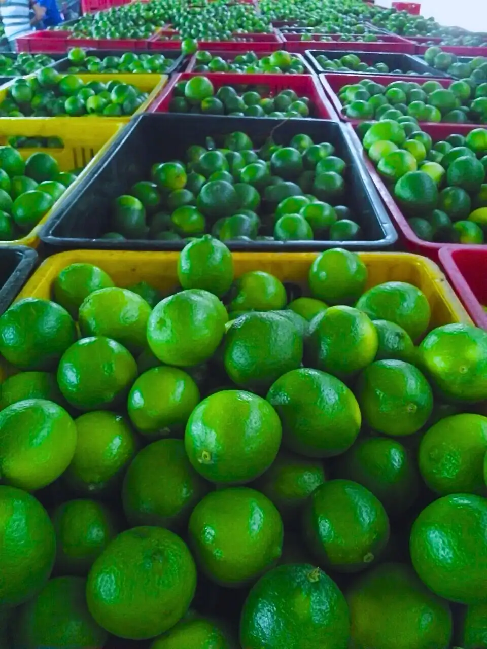 Fresh green limes