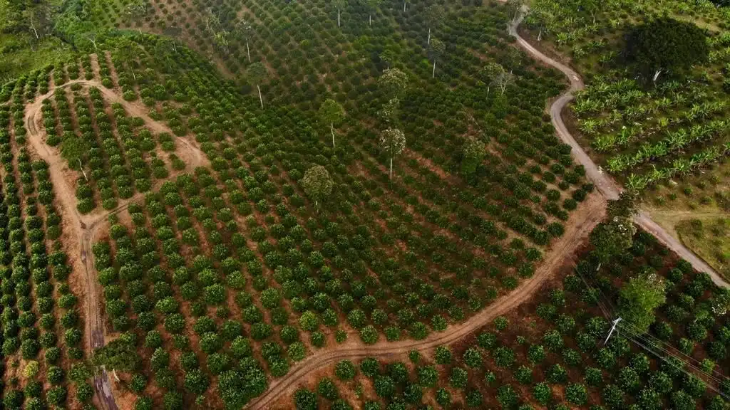 Other picture of the land where the business is located