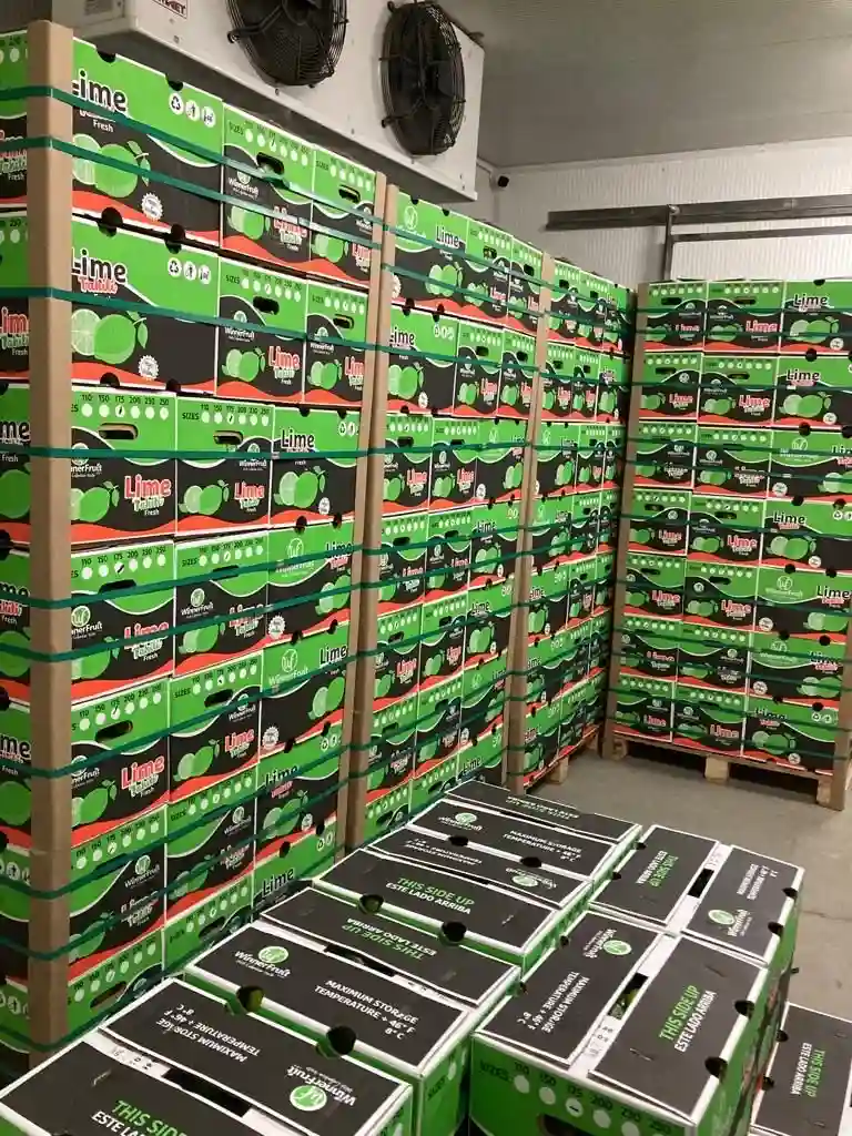 Picture of many boxes with tahiti lime