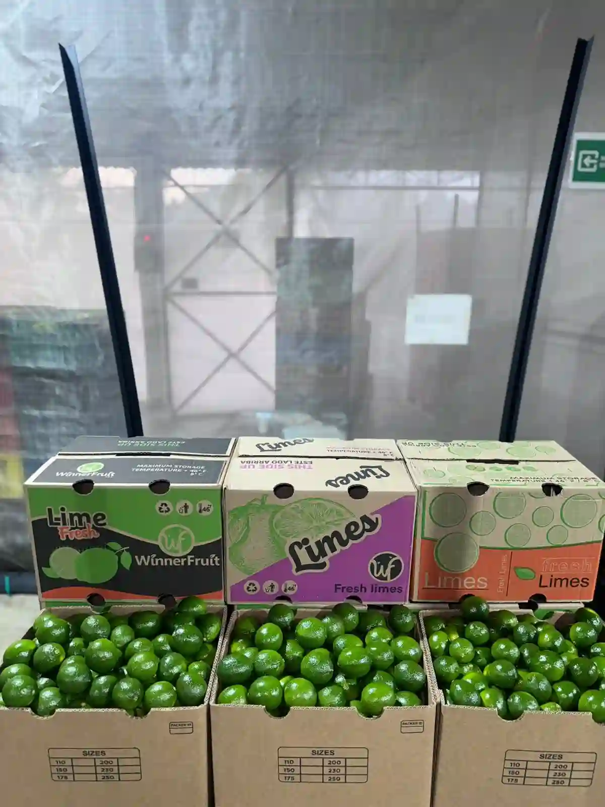 Picture of many boxes with tahiti lime