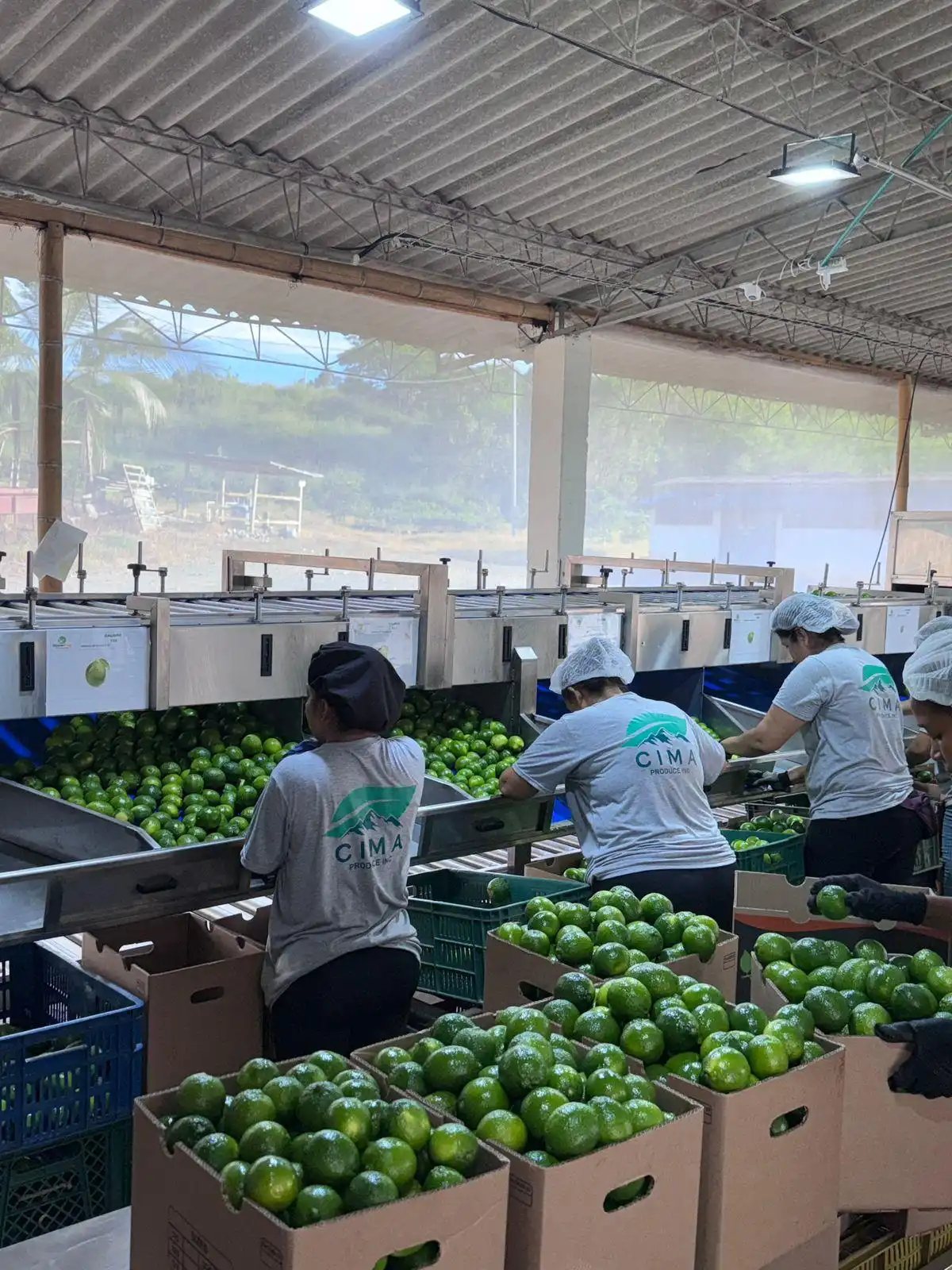 Picture of the employees of the business working